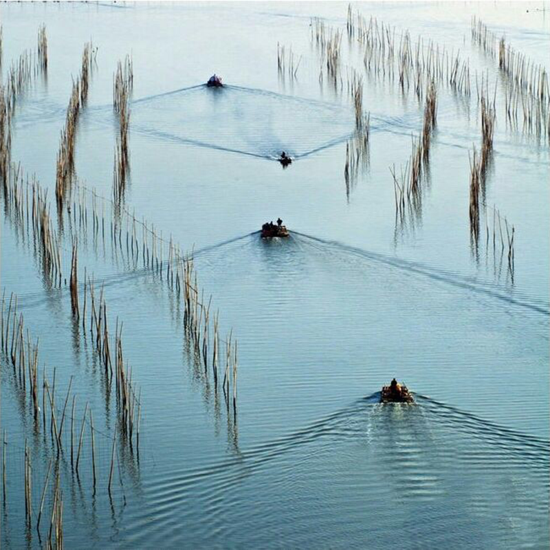 霞浦3天2晚 嵛山岛含船票景交车门票+东海一号线+下尾岛 9人小团