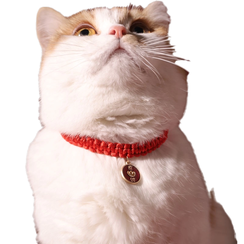 PET 6cm×5m 82cm/loop 猫猫狗狗 Amazon.com : PEQULTI Tall Cat Tree Floor to Ceiling Cat