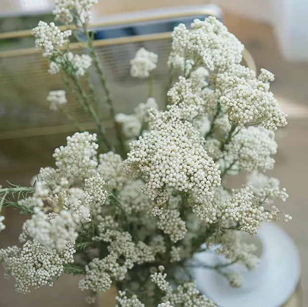 Ins清新白色粉色自然干花花束装饰天然插花婚礼软装摆客厅小米花 Taobao