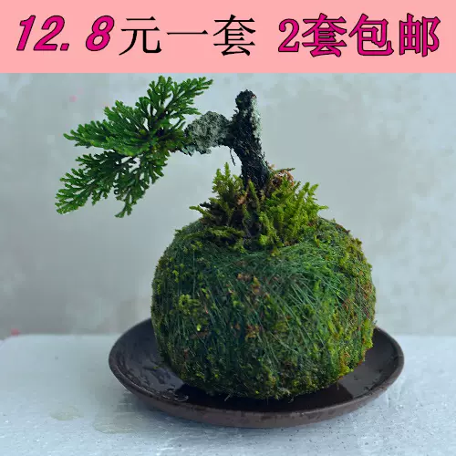 苔藓球植物套装青苔球苔玉球苔藓微景观创意盆景节日礼物 苔藓球植物套装青苔球苔玉球苔藓微景观创意盆景节日礼物