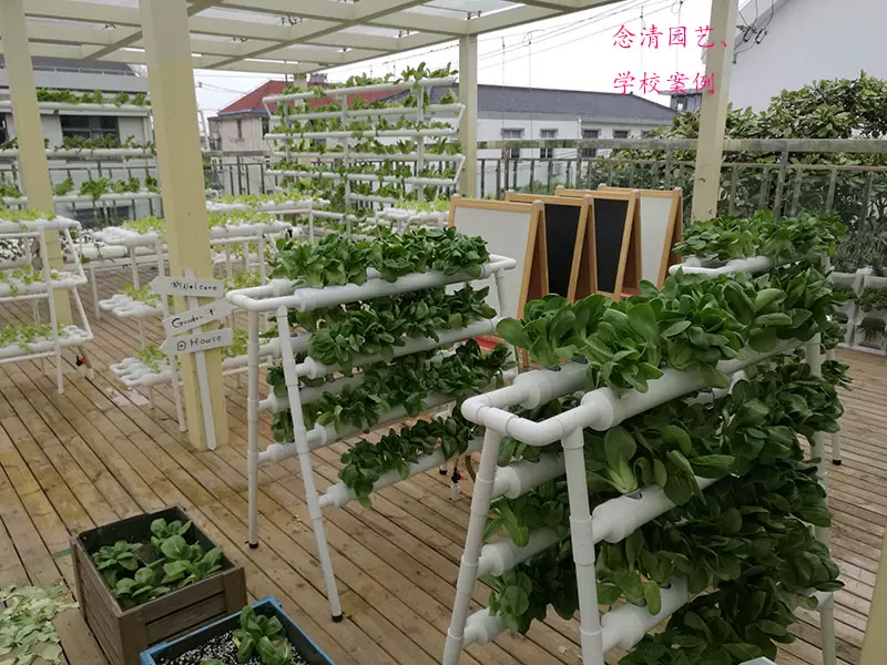 阳台无土栽培水培蔬菜管道家庭室内水耕水培蔬菜种植无土栽培设备-Taobao