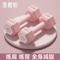 Dumbbells for Women's Fitness Home Equipment, Small Dumbbells for Girls 2kg 2.5kg 3kg Pair, Men's Barbell Kettlebell