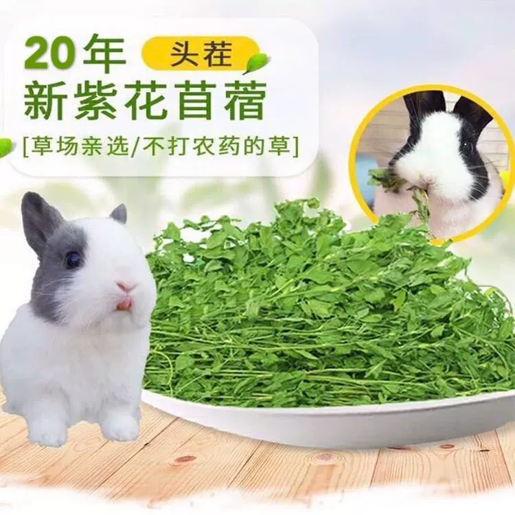 紫花苜蓿草干草幼兔饲料兔子龙猫荷兰猪粮满月兔食物