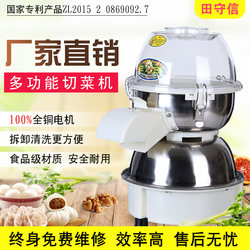 Tian Shou Xun Electric Vegetable Chopper for Making Ginger Paste, Chopping Vegetables, Mixing Vegetables, Making Vegetable Fillings, and Making Bun and Dumpling Fillings with Onion, Ginger, and Garlic