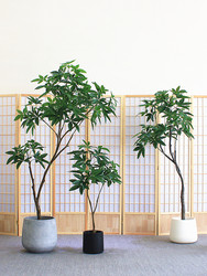 High-End Artificial Green Plant, Native Money Tree, Large Floor-Standing Decorative Tree for Living Room, Hotel, Shop, Guesthouse, and Window Display