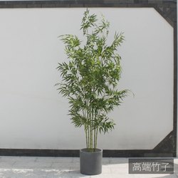 Artificial Bamboo Plant Fake Golden Silk Four-Season Purple Bamboo Tree Decoration Dense Landscaping Green Plant Living Room Window Screen Decoration