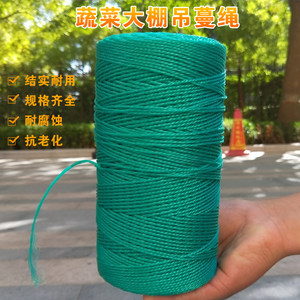 Agricultural anti -aging hanging vine rope hanging seedlings green tope Cucumber cucumber west tomato tie the vine camisole
