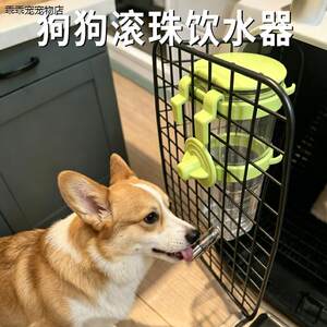 
Dog roller ball water fountain, pet feeding and drinking water special large capacity summer life self-service drinking water bottle