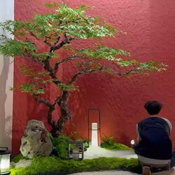 Artificial Green Maple Tree, Chicken Claw Maple, Dry Landscape Landscape Design, Fake Plants, Indoor Biomimetic Green Plants, Window Display Decoration Set