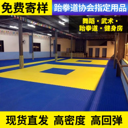 Professional Taekwondo Mat, Thickened for Training, High-Density Dance, Martial Arts, Street Dance, Gym, Martial Arts 1m Foam Mat
