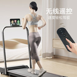 Flat Treadmill for Home Use, Small Mini Foldable Silent Electric Indoor Walking Machine, Fitness Equipment