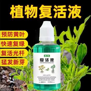 
Plant resurrection liquid type flower gardening green plant rose fortune tree nutritional yellowing and leaf falling rapid growth nutrient solution