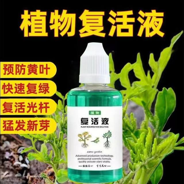 
Plant resurrection liquid type flower gardening green plant rose fortune tree nutritional yellowing and leaf falling rapid growth nutrient solution