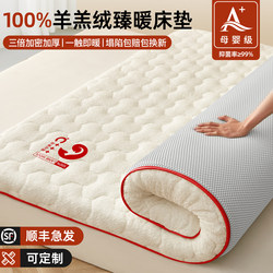 Lamb's Wool Mattress Soft Pad for Home Bedroom Winter Thickened Warm Student Dormitory Bed Mattress Milk Velvet Mattress