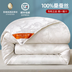 Authentic Silk Quilt 100% Mulberry Silk Quilt Core Winter Quilt Mother-Child Quilt Two-In-One Autumn and Winter Thickened Spring and Autumn Quilt