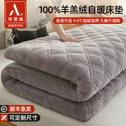 Lamb Wool Mattress Pad for Home Bedroom, Thickened for Winter Warmth, Special for Rental Housing, Milk Velvet Mattress Pad