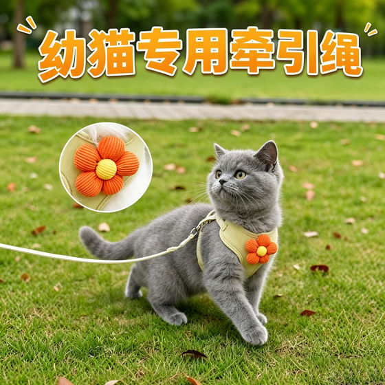 
Special kitten traction rope for two-month-old kittens