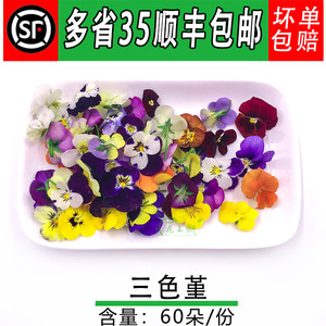 
Pansy, fresh tricolor flowers, iris, flowers and grass, hotel western food plating, baking decoration