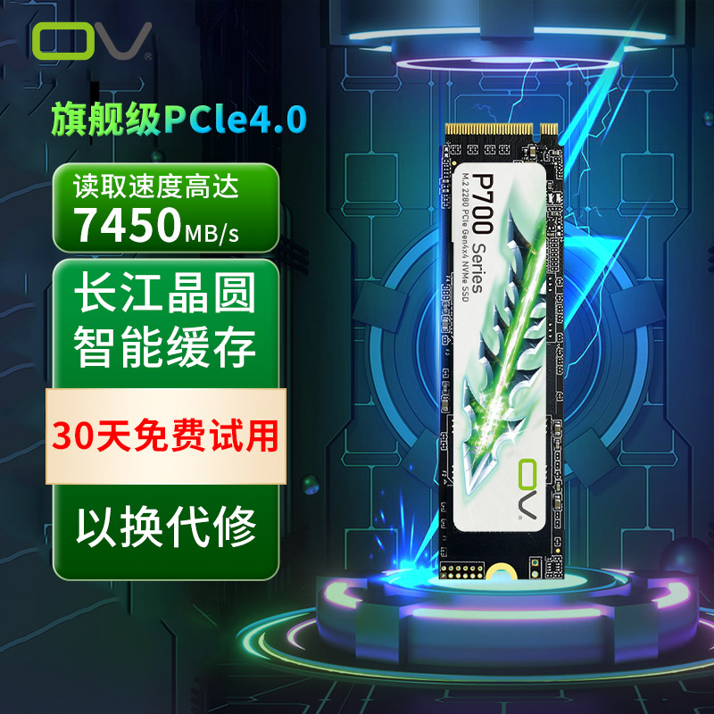 OV P700M2 ָ Ʈ ̺ 2T 1T PCIE4.0 M.2 ũž ǻ PS5  Ʈ SSD4T-