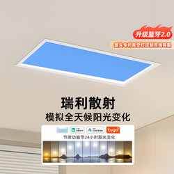 Fanlang Intelligent Sky Light Third Generation Natural Light Kitchen Bathroom Corridor Integrated Ceiling Embedded Clear Sky Light