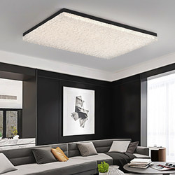 Modern Minimalist Atmospheric Resin High-End Italian-Style Living Room Main Light Ceiling Light