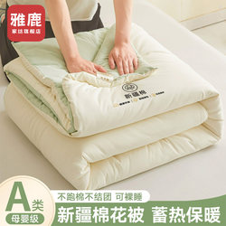 Yalu 2025 New Model Xinjiang Cotton Quilt Core Air-Conditioning Summer Quilt Dormitory Winter Quilt Cotton Quilt Spring and Autumn Quilt All Seasons