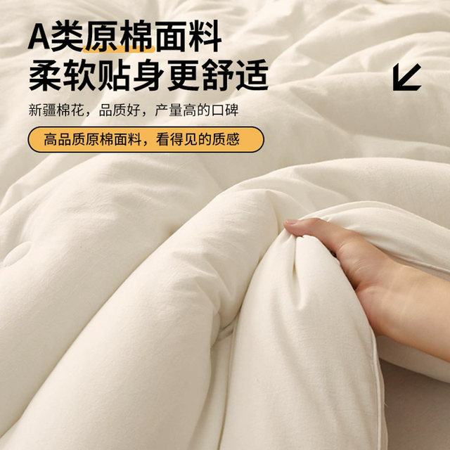 New Winter Quilt Core Thickened Quilt of 10 Pounds for Warm Winter Winter Dormitory Household Dormitory Warm Bedding