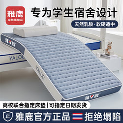 Yalu Mattress Cover Student Dormitory Single Latex Soft Mattress Home Bedroom Rental Memory Foam Sponge Mattress