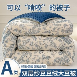 Double-Layer Gauze Bean Velvet Winter Quilt, Spring and Autumn Quilt, Thickened and Warm, Winter Cotton Quilt Core, Machine Washable, Student Single Air-Conditioned Quilt