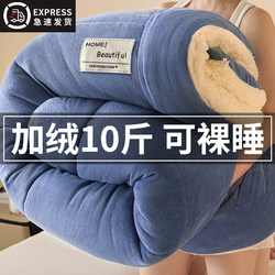 2025 New Lamb Wool Quilt Winter Cotton Quilt Core Winter Dormitory Single Bed Autumn and Winter Quilt Thickened and Warm 5kg