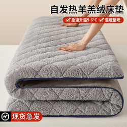 Lamb Wool Mattress Home Soft Cushion Bedroom Winter Thickened Warm Mattress Pad Student Dormitory Single Mattress Quilt Winter