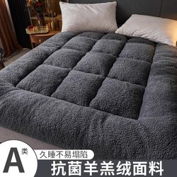 Thickened Lamb Wool Mattress Soft Pad for Home Use, Tatami, Dormitory, Single Student Dormitory Bed, Sponge Mattress Pad, Quilt