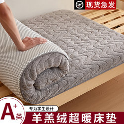 Winter Lamb Wool Mattress for Student Dormitory Single Bed, Specially Designed for College Students, 90X190Cm Mattress, Milk Velvet Mattress