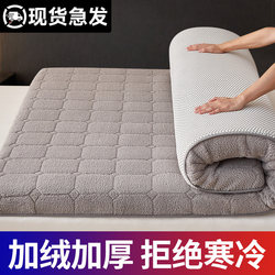 Lamb Wool Mattress Pad for Home Bedroom Winter Milk Velvet Thickened Warm Mattress Pad for Rental Use