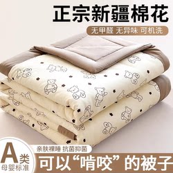 Xinjiang Cotton Summer Quilt, Thin Summer Quilt, Spring and Autumn Quilt, Air Conditioning Quilt, Non-Pure Cotton, All-Cotton, Machine Washable, Dormitory Student Quilt