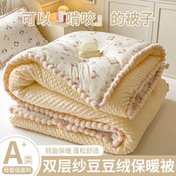Class a Bean Fleece Winter Quilt, Spring and Autumn Quilt, Thickened and Warm, Winter Cotton Quilt Core, Machine Washable, Single Bedding for Student Dormitory