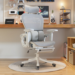 Sanmeng Ergonomic Computer Chair, Waist-Protecting Office Chair, Comfortable for Long Periods of Sitting, Not Tiring, Office Study Room Reclining Chair