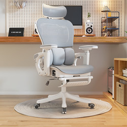 Sanmeng Ergonomic Computer Chair, Waist-Protecting Office Chair, Comfortable for Long Periods of Sitting Without Getting Tired, Office Study Room Reclining Chair