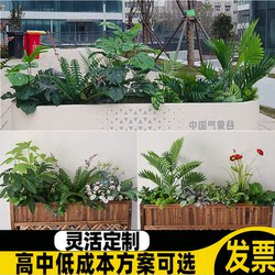 Simulated Tropical Plant Landscaping, Rainforest Beauty Salon Store Interior Flower Boxes, Flower Troughs, Partitions, Clothing Store Green Plant Decoration