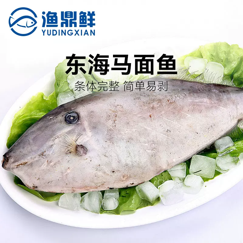 東海馬面魚600 700g新鮮橡皮魚剝皮魚深海魚扒皮魚冷凍