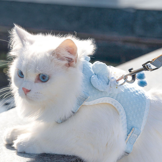 Cat leash traction rope anti-breaking and adjustable cat special pet for going out with high-value cat walking rope for cat kitten kitten rope