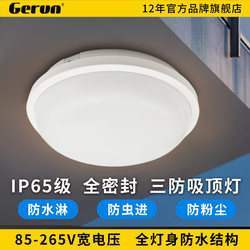 IP65 Outdoor Waterproof Ceiling Light Led for Balcony, Bathroom, Eaves, Sunroom, Gazebo, 85-265V Voltage, Three-Proof Light