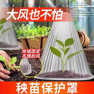 
Vegetable nursery plant protective cover melon seedlings vegetable seedlings seedlings seedlings heat preservation insect-proof bird-proof thickened frost-proof cover