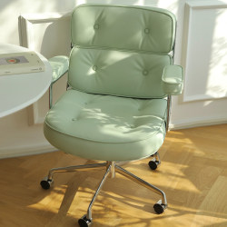 Light Luxury Computer Chair, Home Desk Chair, Makeup Chair, Comfortable for Long Sitting, Study Room, Nordic Office Swivel Chair, Leisure Sofa Chair