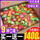Keliguo Sea Salt Sugar-Free Mints Strong Fresh Breath Vitamin C Cool Candy Snacks Bulk Commercial Wholesale