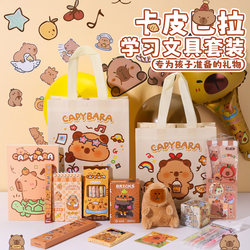 Kapibala Souvenirs for Primary and Secondary School Students, Christmas Gifts, Birthday Gifts for Ten-Year-Old Children, Return Gifts, Whole Class Recognition Prizes