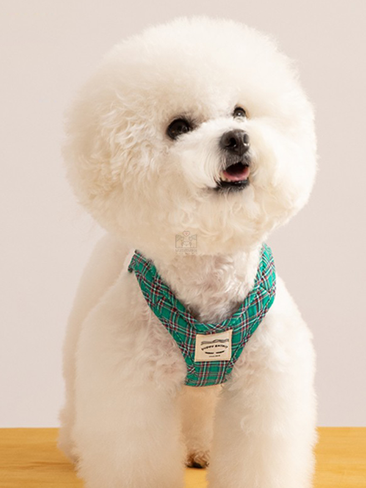 格子控宠物保护舒适型幼犬遛狗胸背带