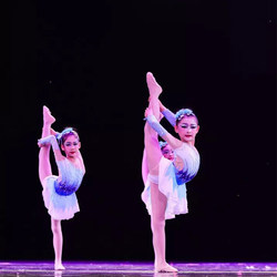 The 10Th Little Lotus Style Ice Flower Branch Dance Performance Costume for Girls, Children's Campus Art Group Aerobics Costume