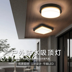 Waterproof Ceiling Light, Mosquito-Proof, Outdoor Balcony, Simple Courtyard, Pavilion, Doorway, Corridor, Eaves, Bathroom Ceiling Light
