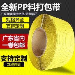 Pp Packing Tape Plastic Binding Rope Hot Melt Handmade Goods Carton Packaging Tape Tensioning Tape Binding Tape Strapping Tape